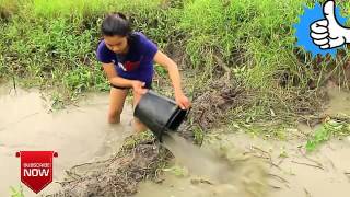 Beautiful Girl Amazing Fishing  Cambodia Traditional Fishing  Amazig Fishing at Battambang [upl. by Herodias]