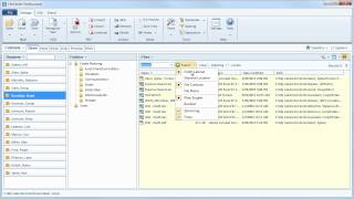 Find Files Quickly with FileCenter [upl. by Uthrop575]