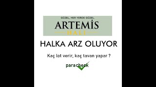 Artemis Halı halka arz kaç lot verir kaç tavan yapar [upl. by Keli]