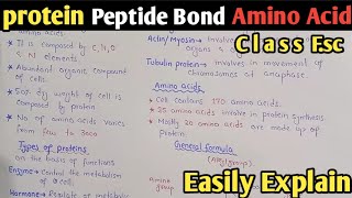 Proteins  Amino Acid Formula  Peptide Bond  Class 11 Biology UrduHindi [upl. by Ikcim124]