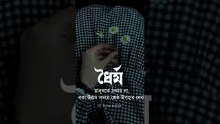 ধৈর্যমানুষকে ঠকায় না বরং উত্তম সময়ে শ্রেষ্ঠ উপহার দেয় islamicpreacher ইসলামিককাহিনী [upl. by Nohsyt]