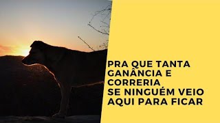 Pra que tanta ganância e correria se ninguém veio aqui para ficar [upl. by Ralleigh261]