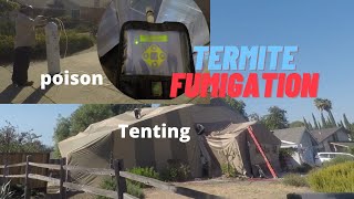 10 Termite FumigationTenting Facts You May Not Know [upl. by Pulcheria]