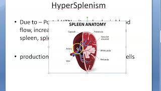 Medicine HyperSplenism Overactive spleen [upl. by Michelsen]