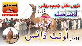 Camel DanceBeautiful Camel DanceThal jeep FestivalCamel RacePunjab Dy rang [upl. by Sicard]