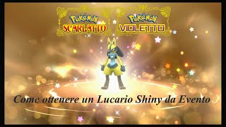 Scaduto Dono Segreto Lucario Cromatico Shiny Buddy Pokemon Scarlatto Violetto [upl. by Etnad]