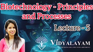 Biotechnology  Principle and processes  Class 12  Lecture  5  NEET  Selectable markers [upl. by Anelah]