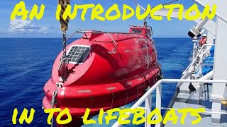 How to operate a Davit launch type Lifeboat and How to Launch it What is equipment is on board 🔝⚓🌊 [upl. by Nomannic]