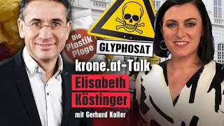 „Ohne Grüne im Parlament ist viel weitergegangen“  kroneat NewsTalk [upl. by Oruntha]