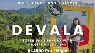 Wild Planet Jungle Resort  Best Jungle Resort In India  Devala Kerla [upl. by Stiles]