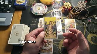 9 of pentacles tarot card meaning tarot shorts tarotreading [upl. by Airamzul]