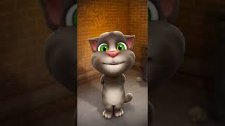 Talking tom voice sylhet bangladesh chhatak talkingtom [upl. by Enawd890]