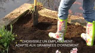 Floralux astuce de jardin Planter des herbes dornement [upl. by Aynekal977]