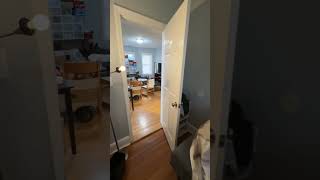 Boston Apartments  3 Beds 2 Baths  Boston  Allston [upl. by Trakas]