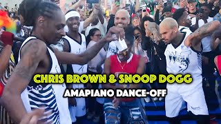 Chris Brown and Snoop Dogg Dances to Amapiano African Music [upl. by Franck]