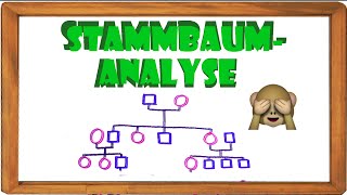 Stammbaumanalyse Teil 2  Das Analysieren einfach erklärt ElenAlina [upl. by Schechter]