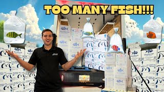 OUR BIGGEST EXOTIC FISH UNBOXING EVER WITH PAUL CUFFARO FINATIC AND GIO LANNI [upl. by Apgar910]