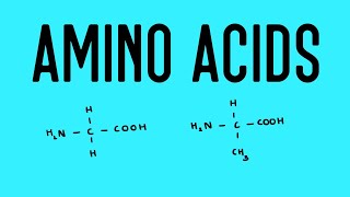 Amino acids Tamil [upl. by Sivam]