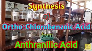 Synthesis of OrthoChlorobenzoic Acid from Anthranilic acid [upl. by Hcir]