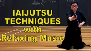 Iaijutsu Techniques with Relaxing Music  前 Mae amp 初発刀 Shohatto [upl. by Petigny545]