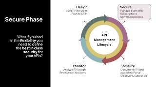 Celigo API Management The Secure Phase [upl. by Naedan]