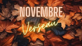 Novembre de Verseau  Ceci est un avertissement  Guidance Générale au Tarot [upl. by Natassia]