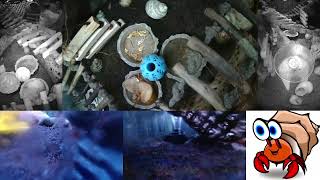 Time Lapse of Hermit Crab Live Stream October 17th  October 18th 2024 60x [upl. by Wolfie]