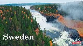 Stunning Places to Visit in Sweden  Discover Sweden’s Natural Beauty [upl. by Laurin]