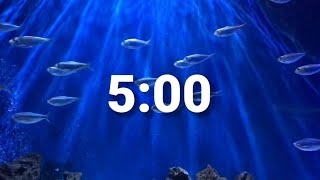 5 Minute Aquarium Fish Countdown Timer with rhythmic relaxing music [upl. by Lek532]