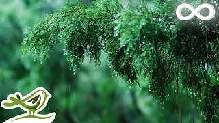 Calming Piano Music with Rain amp Thunder Sounds for Sleep or Relaxing • quotRainy Dayquot [upl. by Otrevogir467]