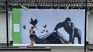 Banksy woz ere London Zoo removes elusive street artists gorilla mural for safekeeping [upl. by Ybor]