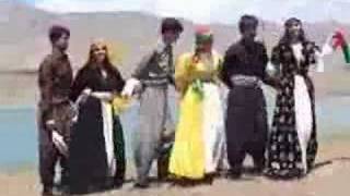 Excellent Kurdish Dance 2 [upl. by Leunamne]