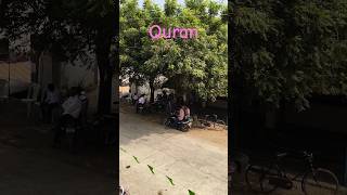 Surah Mulk Urdu translation quran lslamic surahalimranwithurdutranslation love [upl. by Assylla]