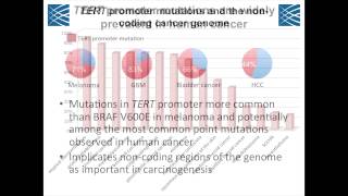 TERT Promoter Mutations in Cancer [upl. by Hilde66]