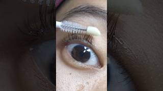 The Originote Lash amp Brow Serum Real BeforeAfter [upl. by Emmons]