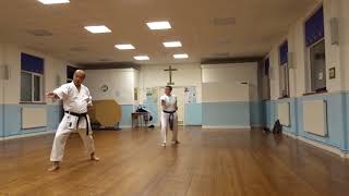 Pinan Sandan  Wado Ryu Kata 和道流平安三段 [upl. by Noiwtna]