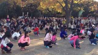 代々木公園 フラッシュモブ公開プロポーズ大作戦！Flashmob proposal at Yoyogi Park in Japan [upl. by Adey]