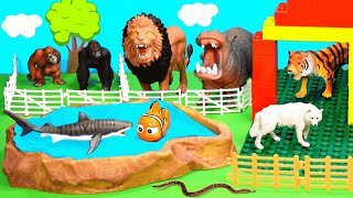 Safari Animal Toy Playset with Fun Wild Animal Figurines [upl. by Evan339]