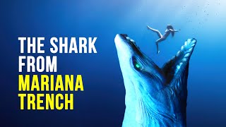 The Shark Scarier Than Megalodon From Mariana Trench [upl. by Annayt]