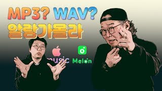 MP3 WAV 어느 것이 좋을까요 [upl. by Diego708]