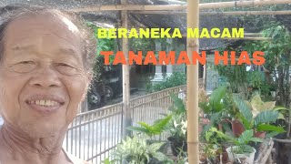 BERANEKA MACAM TANAMAN HIAS [upl. by Nosmoht]