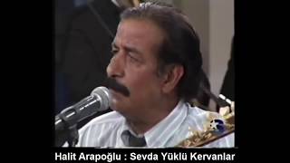 HALİT ARAPOĞLU  SEVDA YÜKLÜ KERVANLAR [upl. by Afatsum]