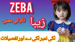 zeba Name meaning in Urdu  New name for girls  Muslim girls name  beautiful name for girls [upl. by Atiuqrehs]