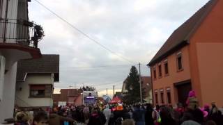 Nature one carnaval a Roppenheim 2015 [upl. by Pulchia]