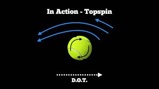 Biomechanics  The Magnus Effect [upl. by Seena]