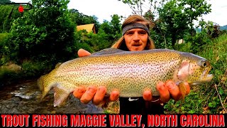 Trout Fishing North Carolinas Maggie Valley [upl. by Einotna859]