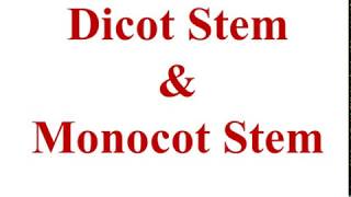 Dicot stem and Monocot stem BSc 3rd Sem GDC Kargil [upl. by Nylesoy]