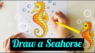 HOW TO DRAW A SEAHORSE  STEP BY STEP  EASY [upl. by Andrien]