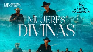 Harvey Valencia  Mujeres Divinas Video Oficial En Vivo [upl. by Schnabel]