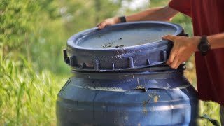 How To Make Free Liquid Fertilizer From Almost Anything with this Ancient Method [upl. by Ivetts19]